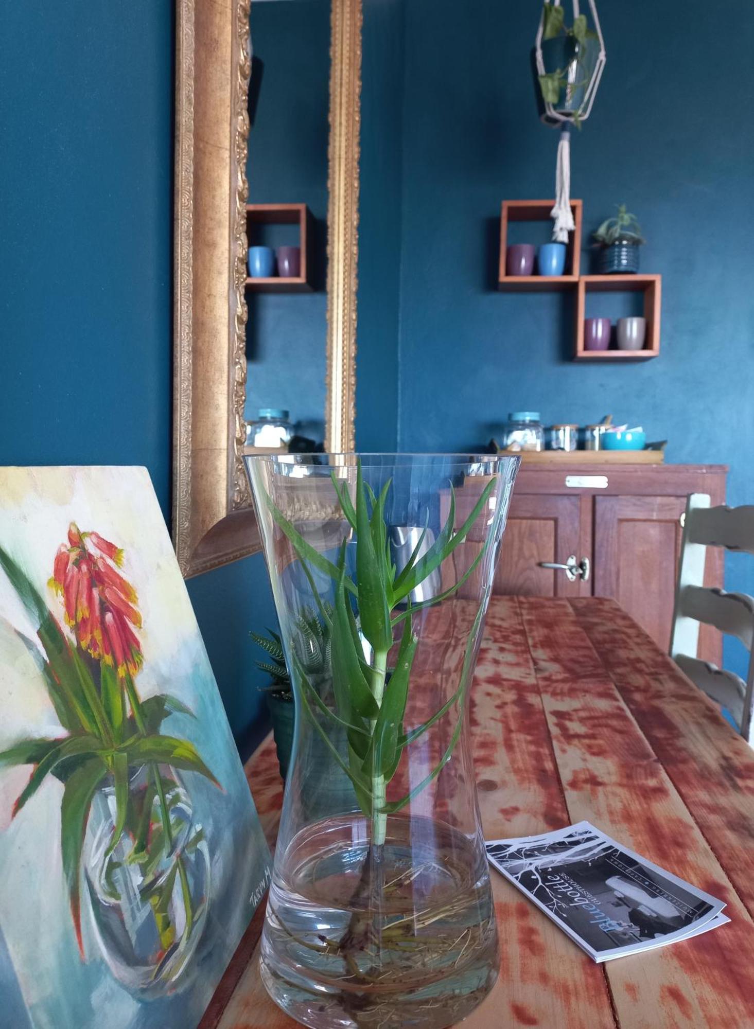 Bluebottle Guesthouse Muizenberg Kültér fotó